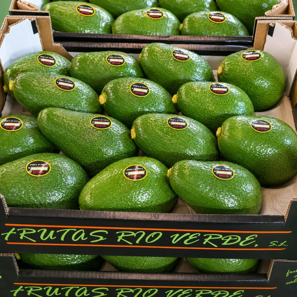 Aguacate-fuertes