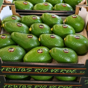 Aguacate-fuertes