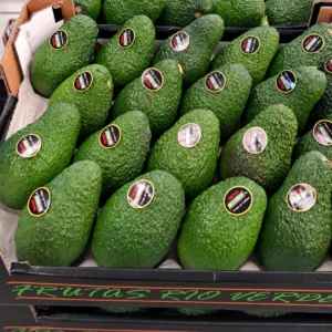Aguacate-hass