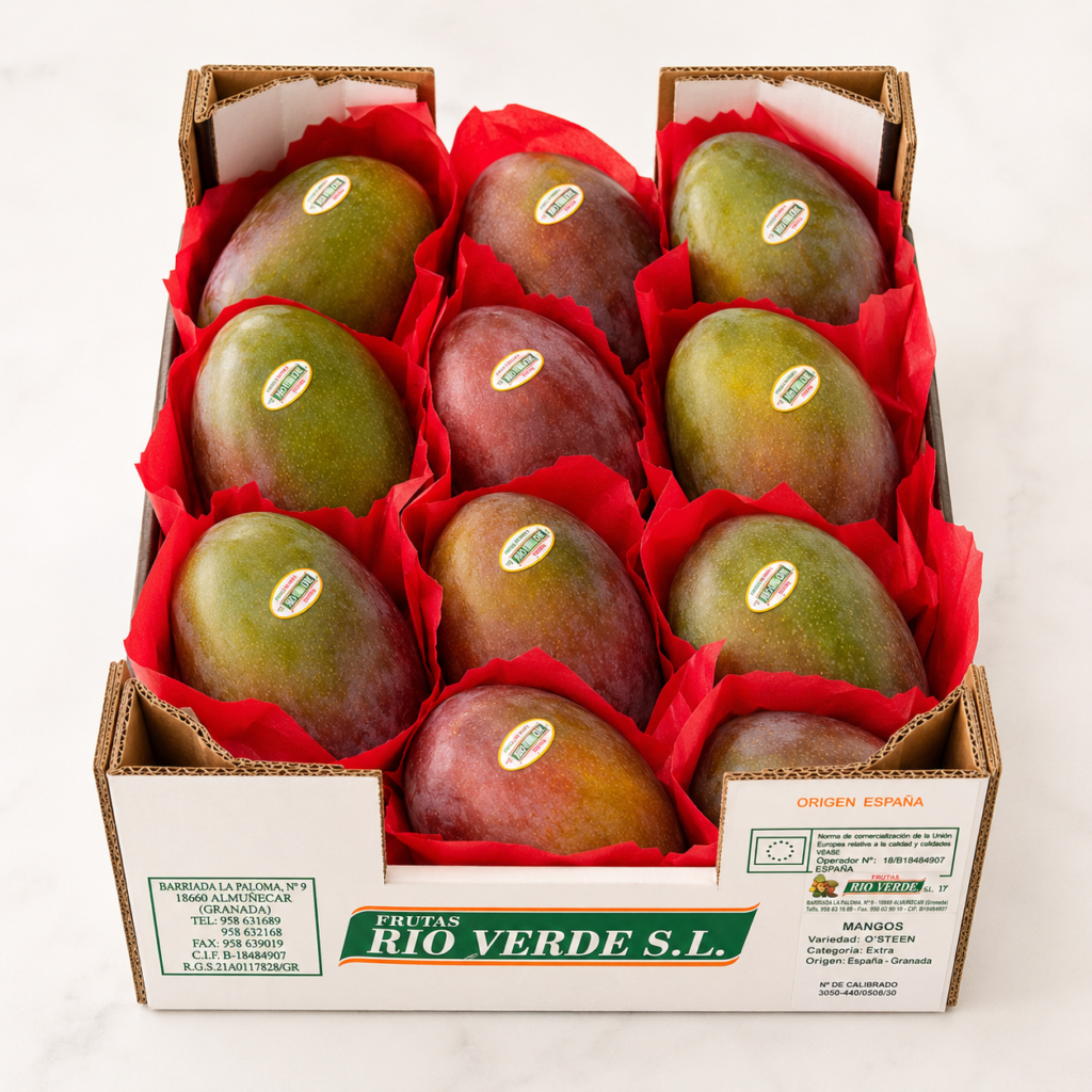 Comprar-mango-Osteen-online