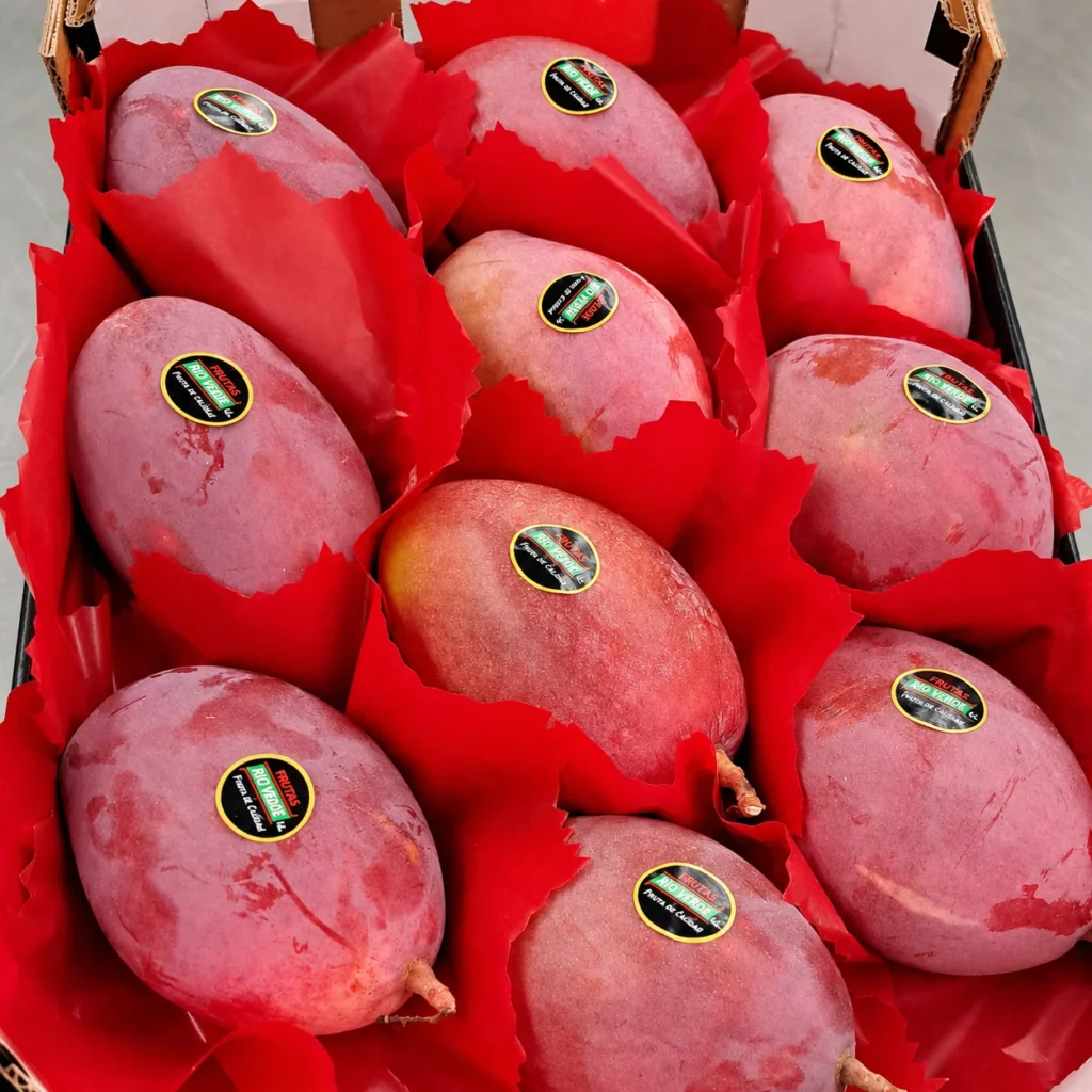 Mango