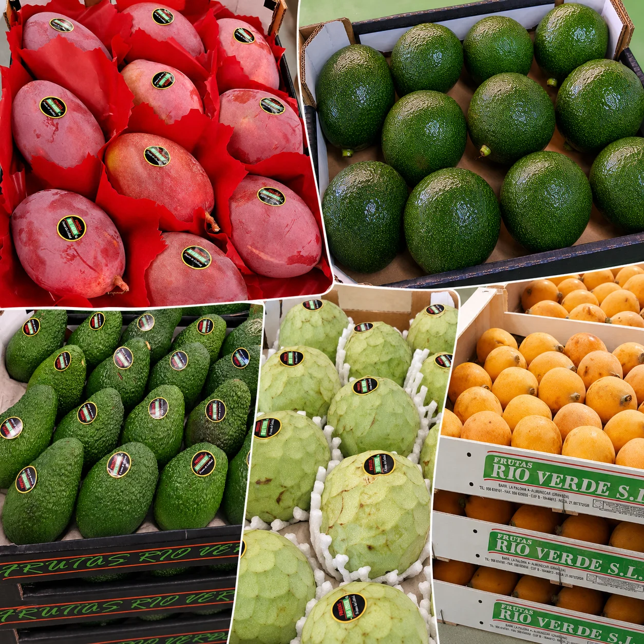 comprar ftuas tropicales frutas rio verde